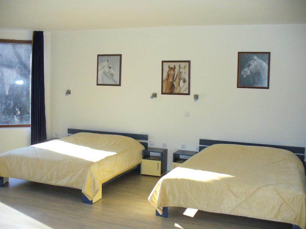 Guest House Alfa Daniel Balkanets  Номер фото
