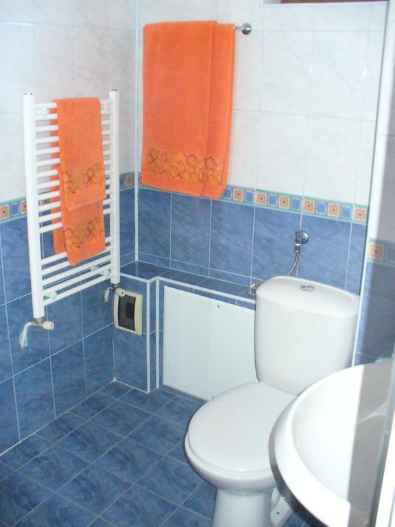 Guest House Alfa Daniel Balkanets  Номер фото