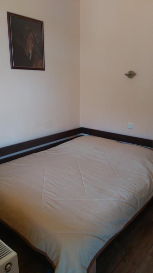 Guest House Alfa Daniel Balkanets  Экстерьер фото