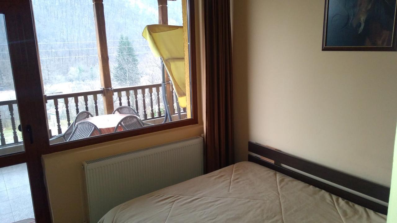 Guest House Alfa Daniel Balkanets  Экстерьер фото