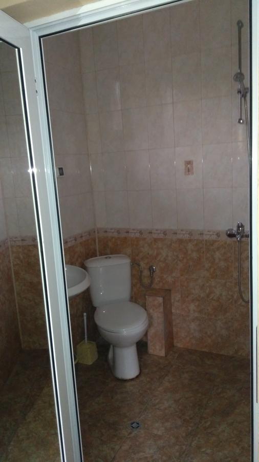 Guest House Alfa Daniel Balkanets  Экстерьер фото