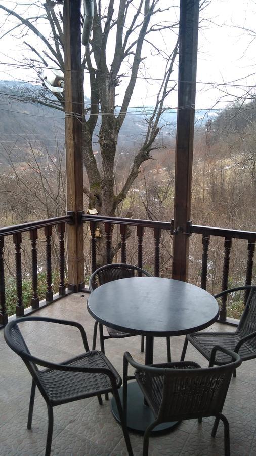 Guest House Alfa Daniel Balkanets  Экстерьер фото