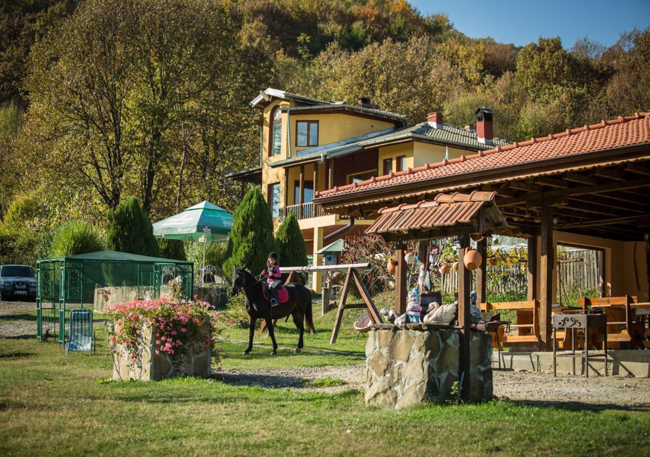 Guest House Alfa Daniel Balkanets  Экстерьер фото